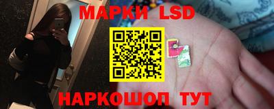 ECSTASY Тара