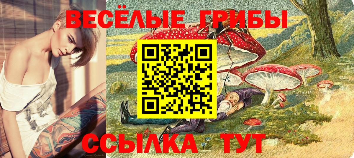 Богородск  Псилоцибиновые грибы GOLDEN TEACHER  Вход с VPN  Галлюциногенные грибы ЛСД 